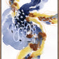 Inner Flow