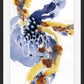 Inner Flow