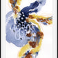 Inner Flow